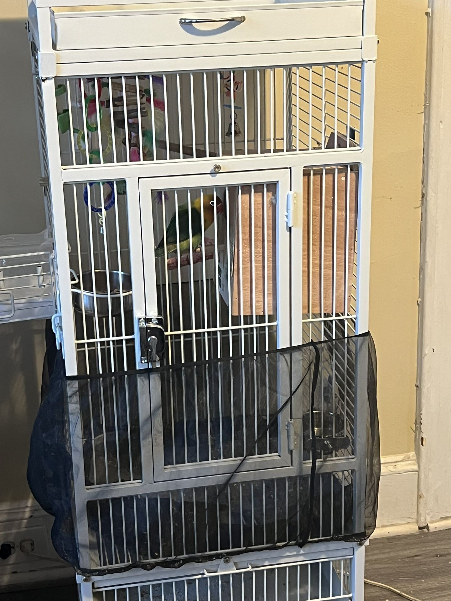 2lovebirds And Cage