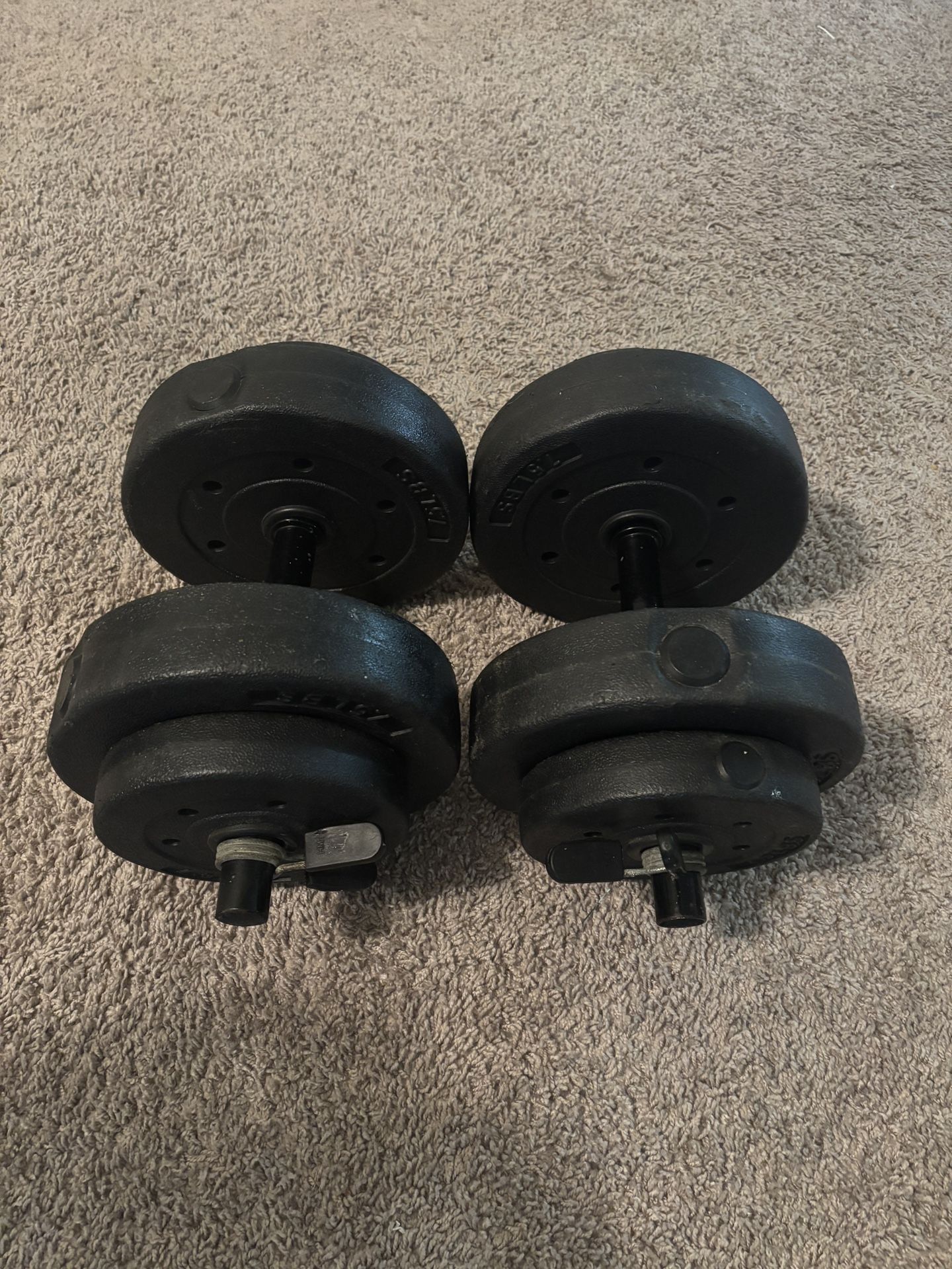 20LB Dumbbells