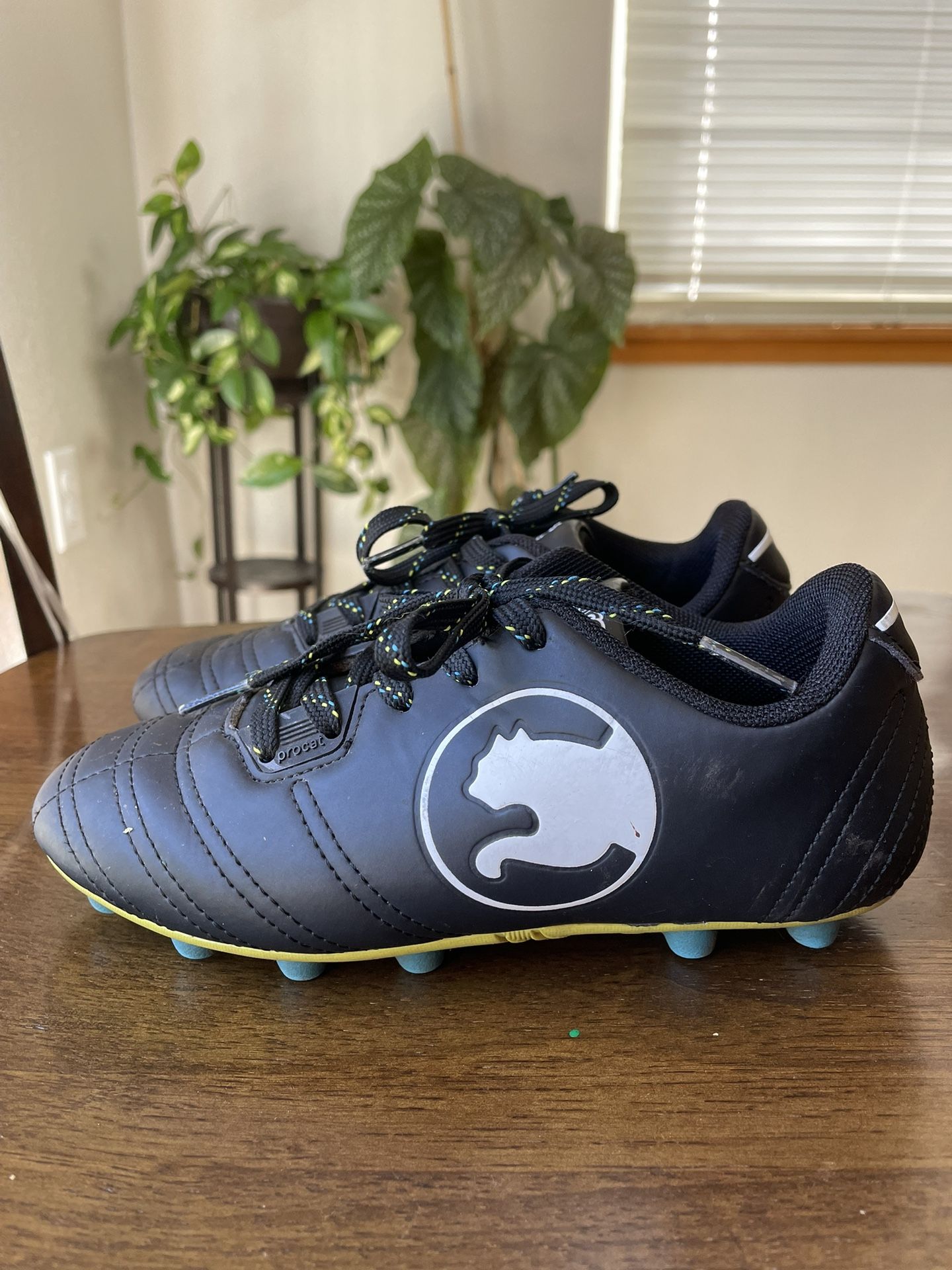ProCat By Puma Youth Cleats - Size 13C