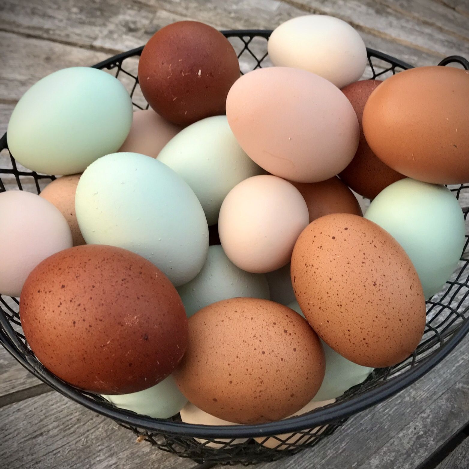 Farm Fresh Chicken Eggs