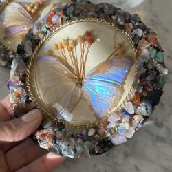 Vintage Pair 2 Butterfly taxidermy round convex glass wall plaque  gemstone pebble stone  Frame Wall Art Insect 