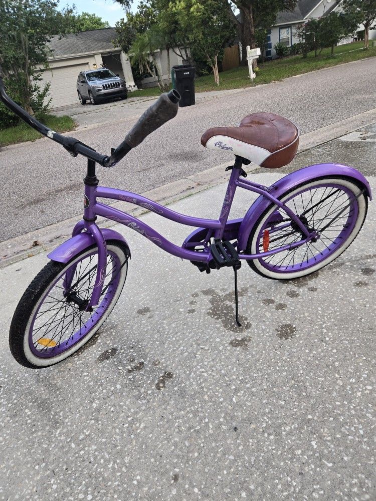 Columbia Sterling 20 Single Speed Youth Cruiser Bike Bicycle Purple