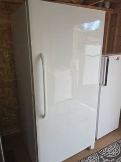 UPRIGHT HUGE FREEZER 34"X74"