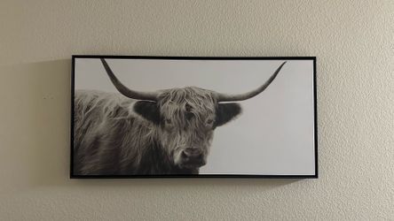 Bull portrait