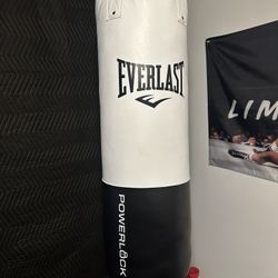 Everlast 100lb Boxing Heavy Bag 