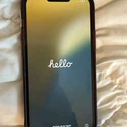 iPhone 13 Pro Max