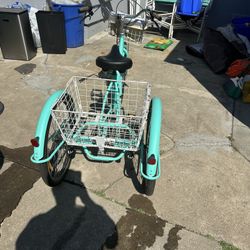 Brand New Tricycle 