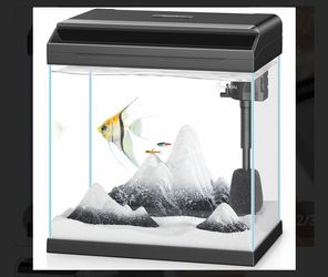 Fish Tank