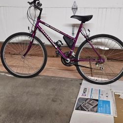 Girls or Ladies Bike.
