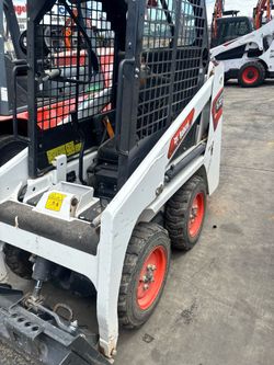 Bobcat