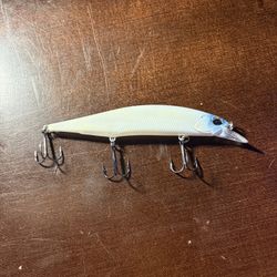 Custom Painted Jerkbait