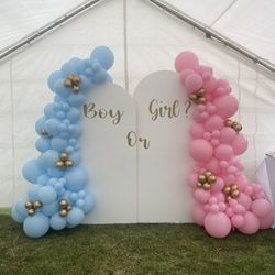 Gender Reveal