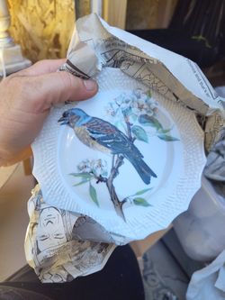 1 Of 6 Vintage Chastagner Limoges France  Porcelain Plates Hand Painted Birds