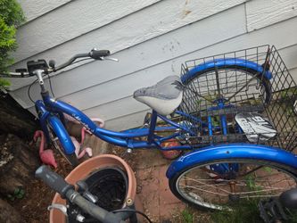 Adult tricycle