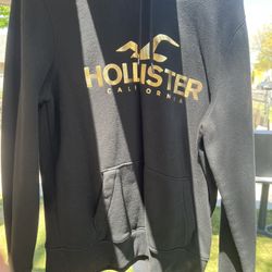 Large Hollister Hoodie