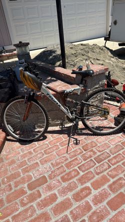Bicicleta triax