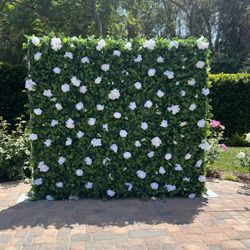 Flower Wall