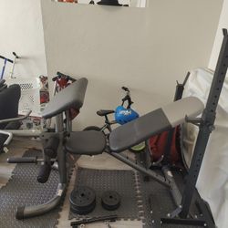 Weight Bench And Weights