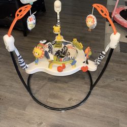 Fisher Price Baby Bouncer