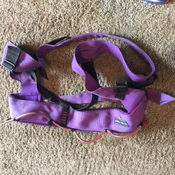 Black Diamond Climbing Harness (size M)