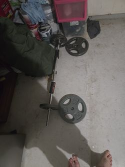 Curved Barbell And Weight Plates