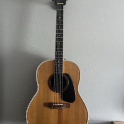 Applause Acoustic Aa14-4