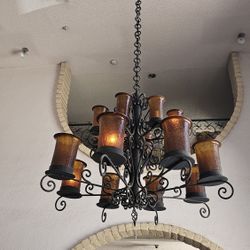 Chandler, Located Blossom Shop,Cotton/ Rio Grande 