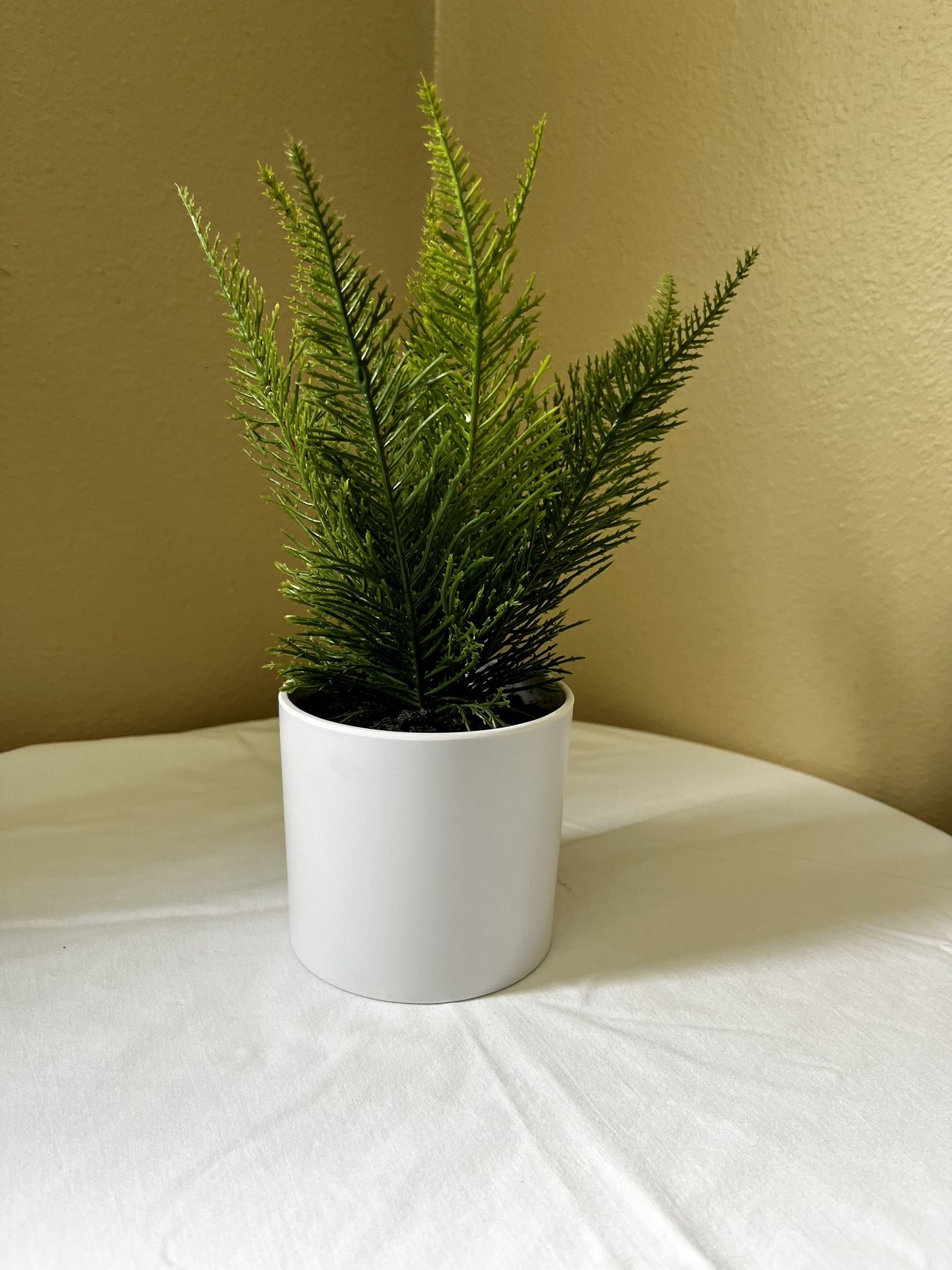 Fake House Plant