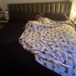 Wayfair Olive Green King Size Frame/matress 