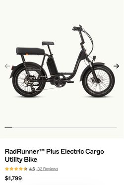 Roadrunner plus electric cargo utility bike