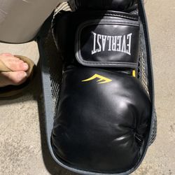 New Everlast Training Boxing Glove Set
