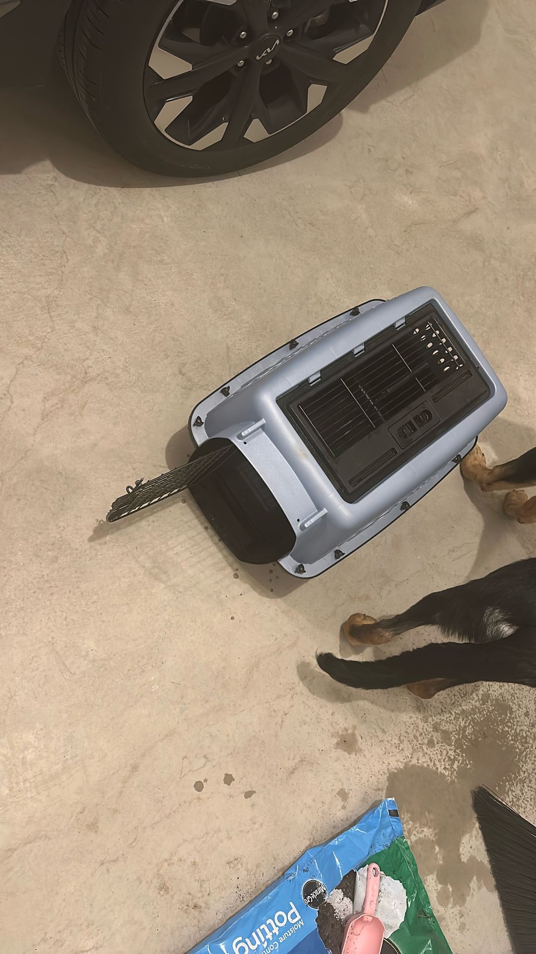 Pet Carrier