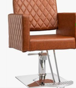 Salon Chair