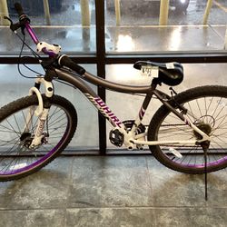 Purple Genesis Bike