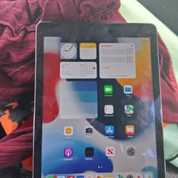 Apple Ipad Air 2 