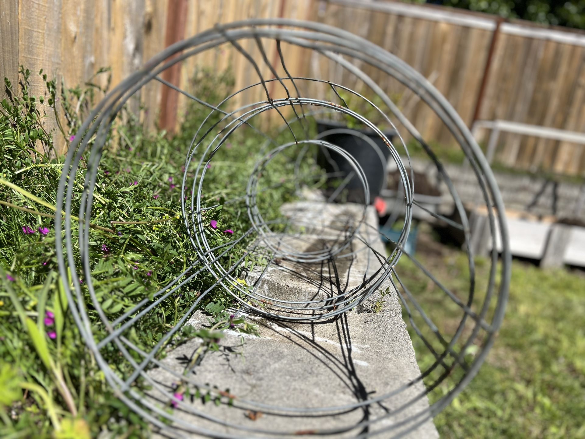 Garden Tomatoe Wire  