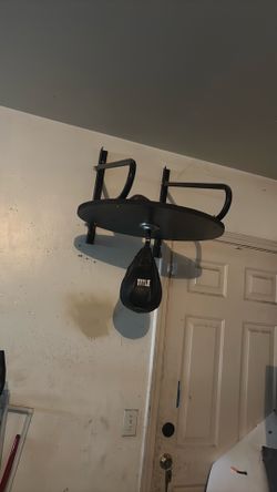 Speed bag