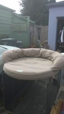 Or is big dog bed