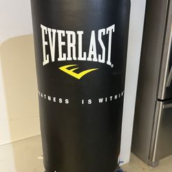 Everlast Punching Bag 