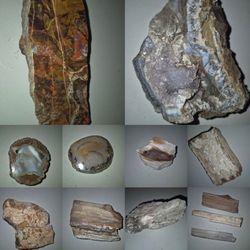 Petrified Wood, Agate & Quartz Crystal Specimens – Natural Rough & Polished Stones