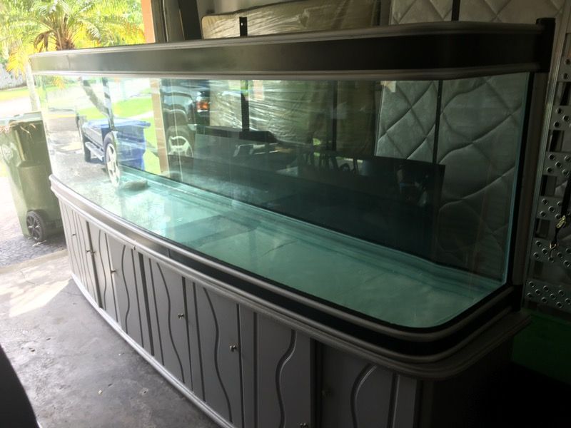 HUGE 450 gallon bow front fish tank: 10 feet long