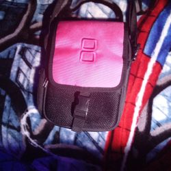 Ds Case