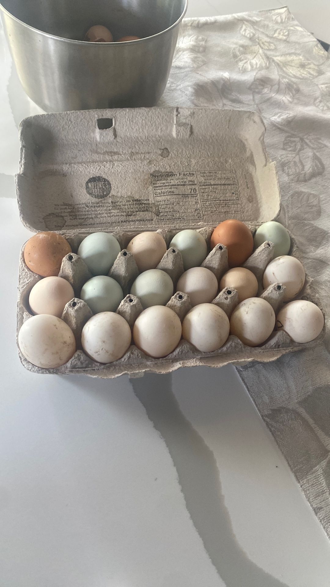 Fresh Eggs