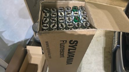 4’ Fluorescent Bulbs
