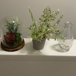 Faux Plants And Succulent Cloche And Vase For Sale 