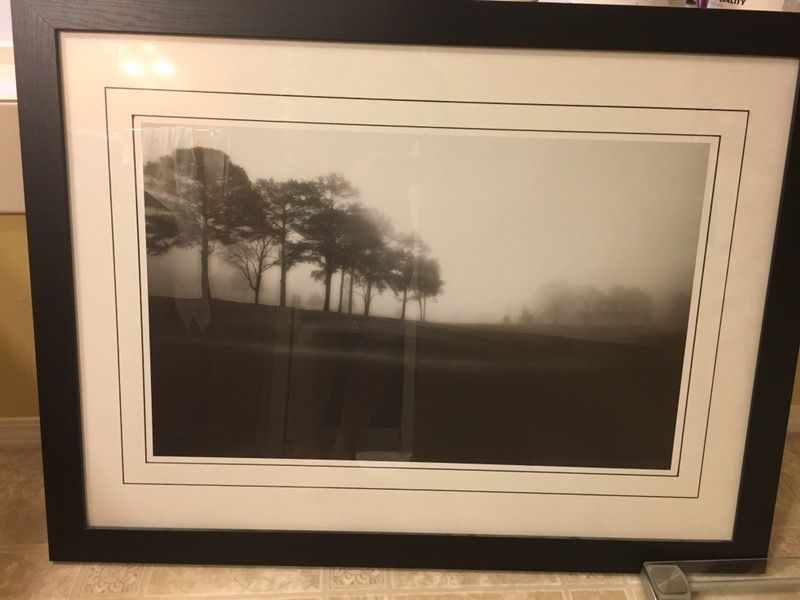 5 Richard Calvo "Trees" series framed artwork