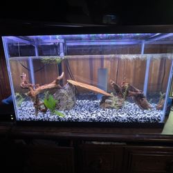 29 Gal Fish Tank