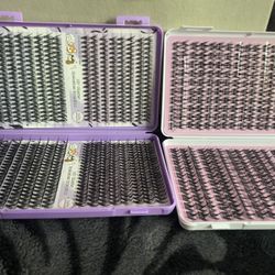 Lashes 