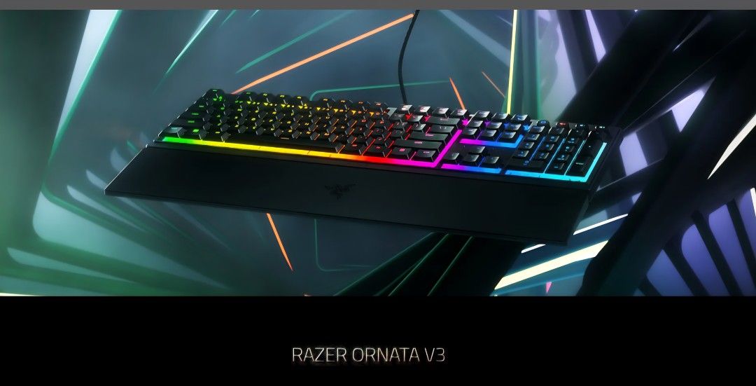 RAZER ORNATA V3