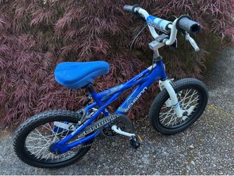 Schwinn 16” bike